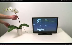 環(huán)球時(shí)訊 網(wǎng)絡(luò)科技與計(jì)算機(jī)的融合創(chuàng)新與未來(lái)展望